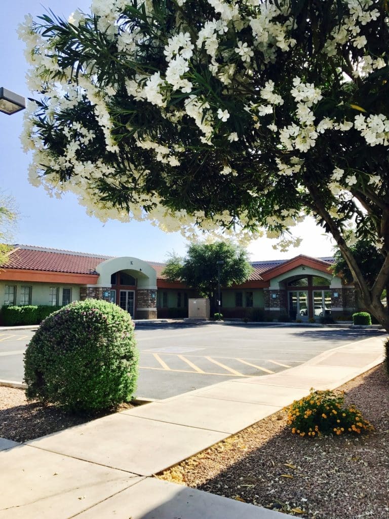 A single-story building with a red-tiled roof is seen behind a parking lot, a large tree with white flowers, trimmed bushes, and small orange flowers in the foreground.