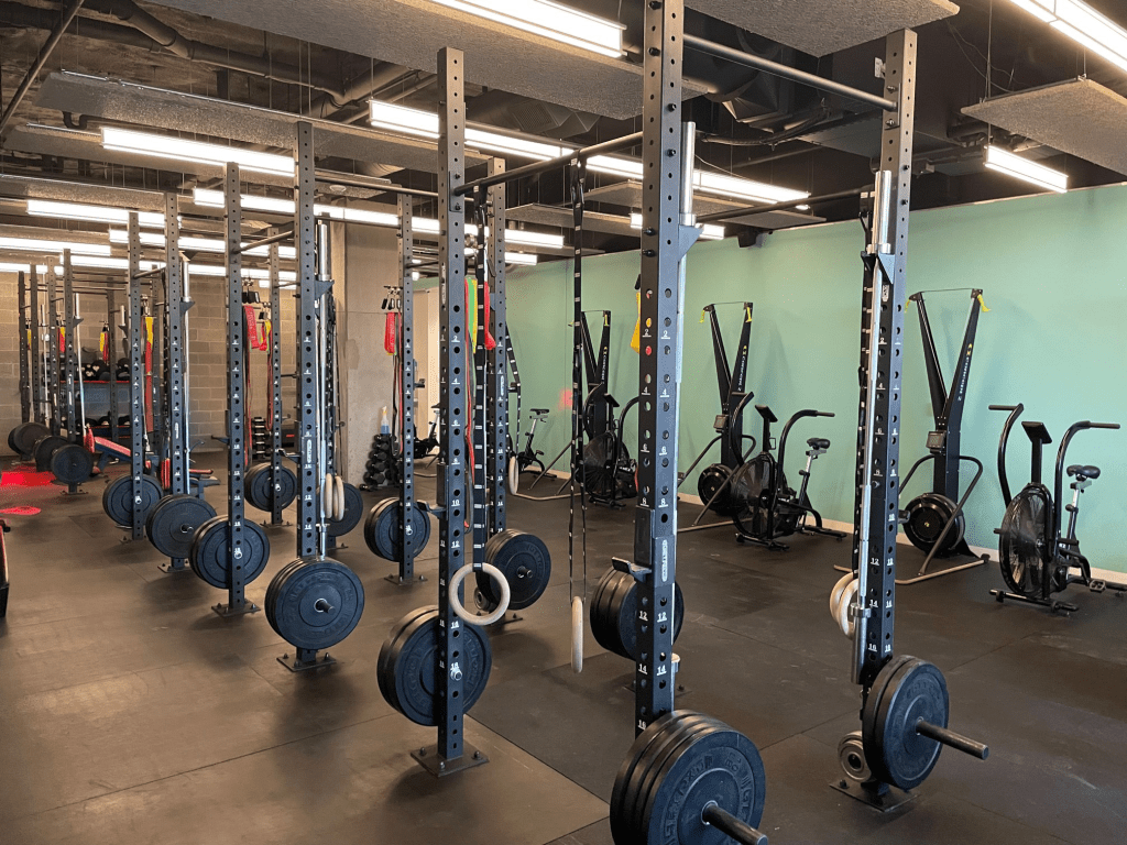 A gym with multiple squat racks, barbells with weight plates, gymnastic rings, fan bikes, and medicine balls arranged along a light blue wall.