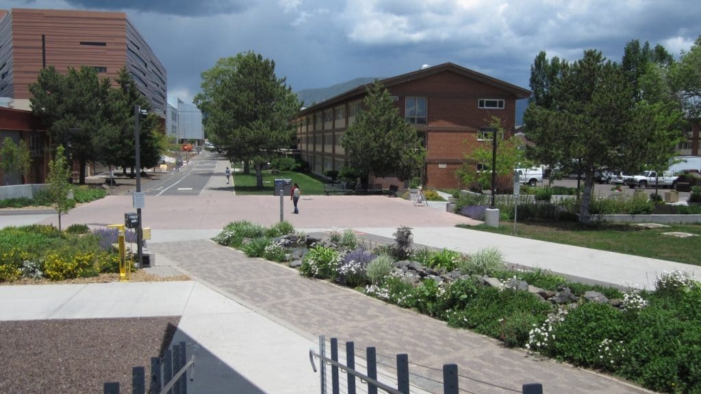 A campus walkway bordered by landscaped plants leads to two modern buildings under a cloudy sky, with a few people walking in the distance.