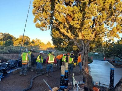 Construction workers in safety vests and helmets pour and level concrete at a job site next to a large tree under clear skies.