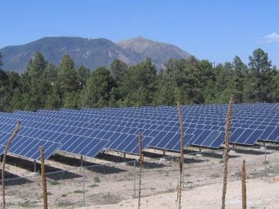 Rows of solar panels from the Northern Arizona University PV System are installed on a cleared piece of land, surrounded by trees, with mountains visible in the background under a clear blue sky.
