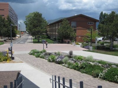 A campus walkway bordered by landscaped plants leads to two modern buildings under a cloudy sky, with a few people walking in the distance.