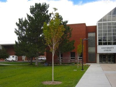 A brick building with a glass entrance labeled "University Union" sits beside a grassy lawn with trees and a sidewalk.