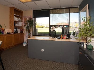A tidy office with a large desk, office chair, plants, shelves with books and files, and a window showing a grassy area outside.